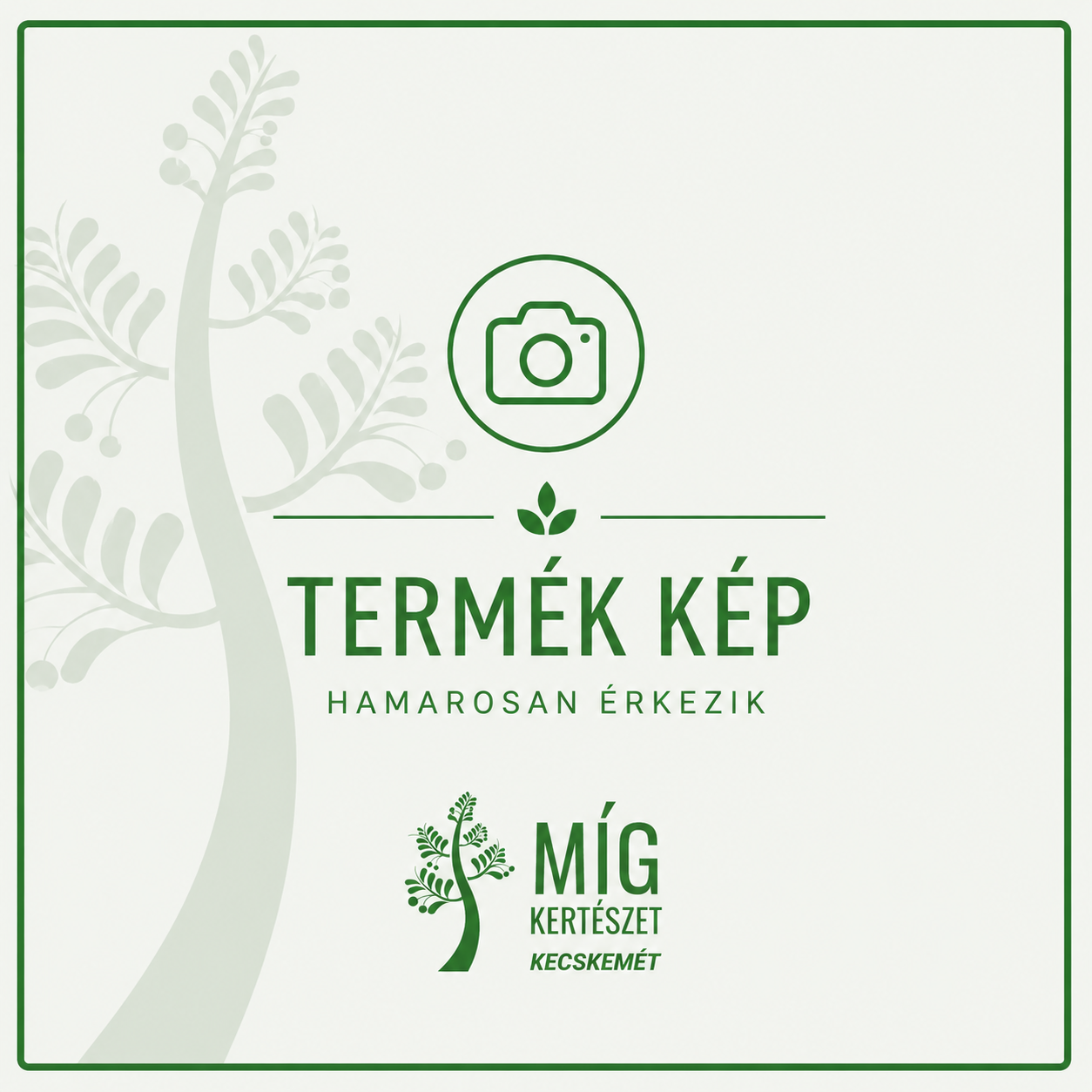 Konténeres gyümölcsfák videó